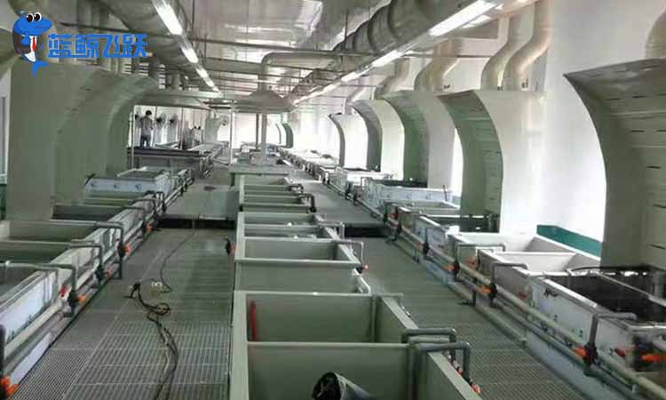 妖精WWW视频免费高清最新期价格是多少？可以在哪些行业使用？