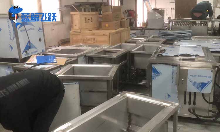 妖精WWW视频免费高清最新期