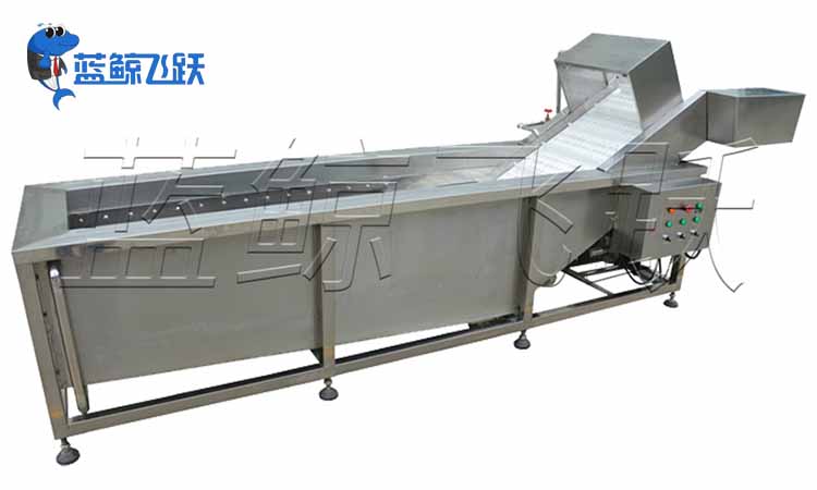 妖精WWW视频免费高清最新期频率的选择及重要性 