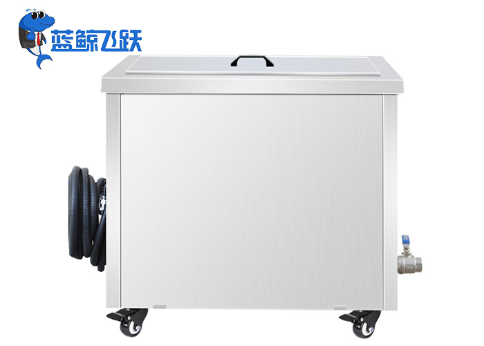 妖精WWW视频免费高清最新期